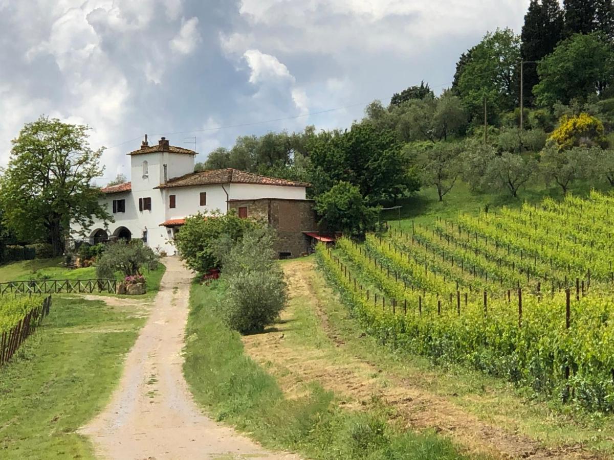 Вілла Azienda Agricola Il Poggiolino Pelago Екстер'єр фото