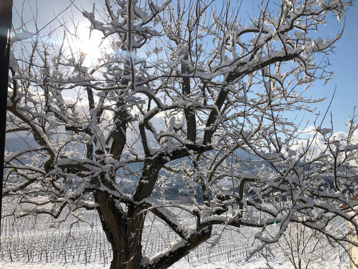 Вілла Azienda Agricola Il Poggiolino Pelago Екстер'єр фото