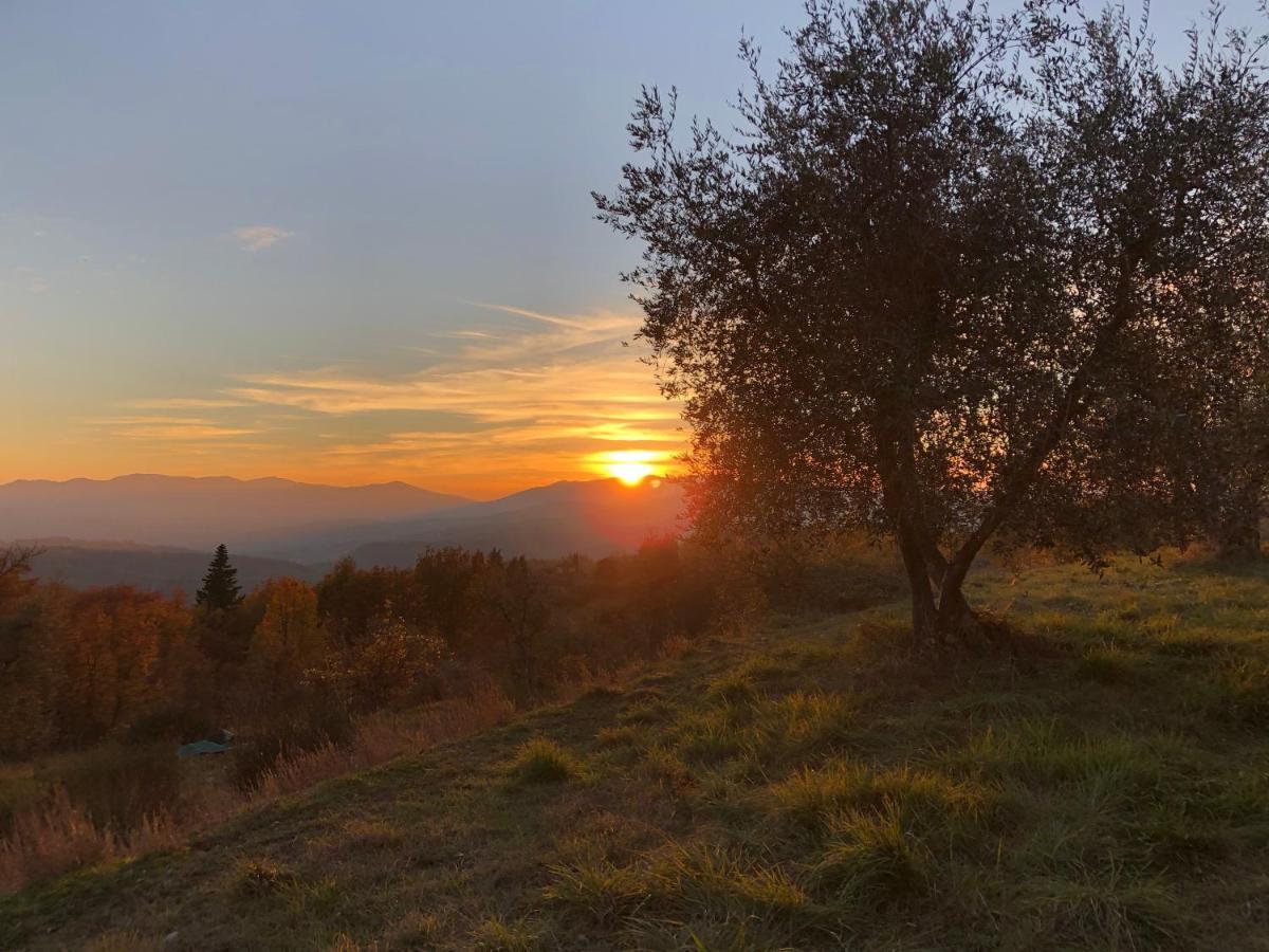 Вілла Azienda Agricola Il Poggiolino Pelago Екстер'єр фото