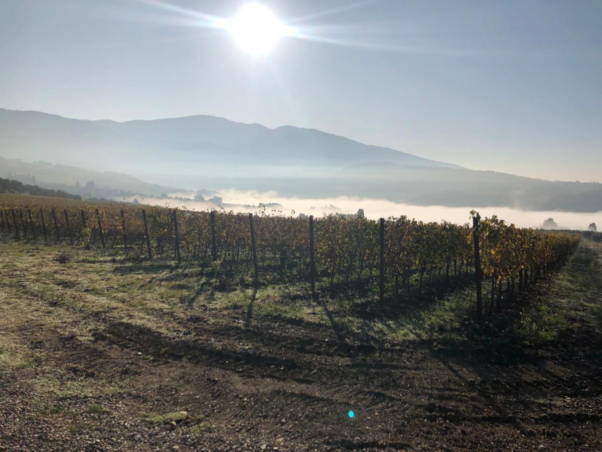 Вілла Azienda Agricola Il Poggiolino Pelago Екстер'єр фото