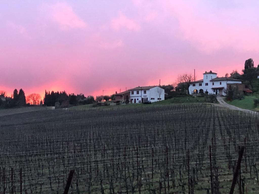 Вілла Azienda Agricola Il Poggiolino Pelago Екстер'єр фото