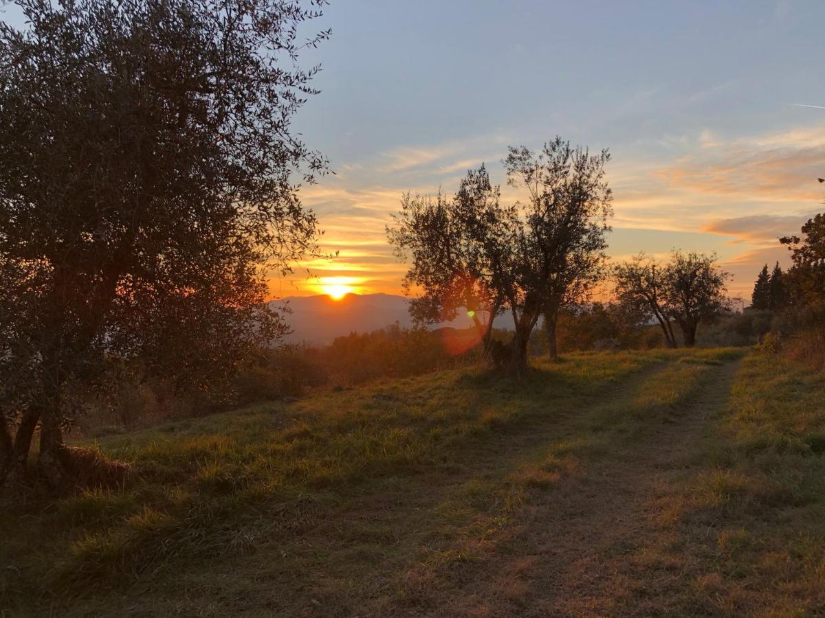 Вілла Azienda Agricola Il Poggiolino Pelago Екстер'єр фото